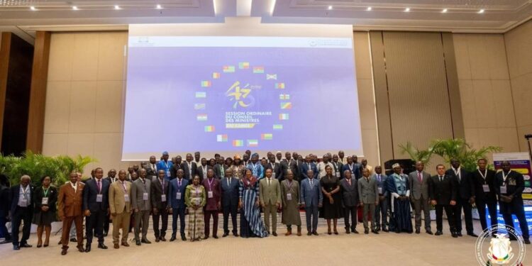 Gabon : Ouverture de la 43e Session ordinaire du Conseil des Ministres du CAMES