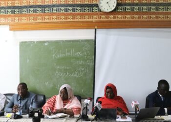 Tchad : Les forces vives du Mayo-Kebbi Est se mobilisent à N&rsquo;Djaména pour le succès du RGPH-3