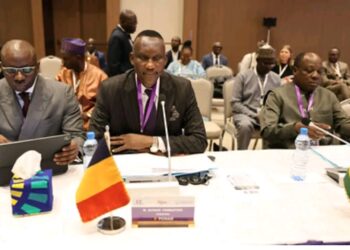 Tchad : Ouverture des travaux de la 43ème Session ordinaire du Conseil des Ministres du CAMES