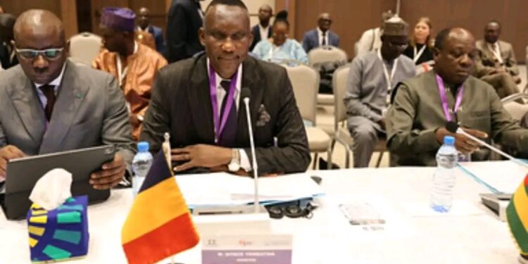 Tchad : Ouverture des travaux de la 43ème Session ordinaire du Conseil des Ministres du CAMES