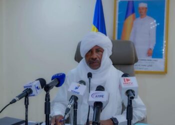Tchad : Le CCIA fait le point sur la vaccination et la lutte contre le paludisme