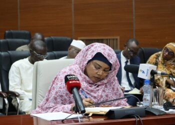Tchad : Urgence humanitaire au Mandoul, la Ministre de l&rsquo;action sociale s&rsquo;explique devant les sénateurs