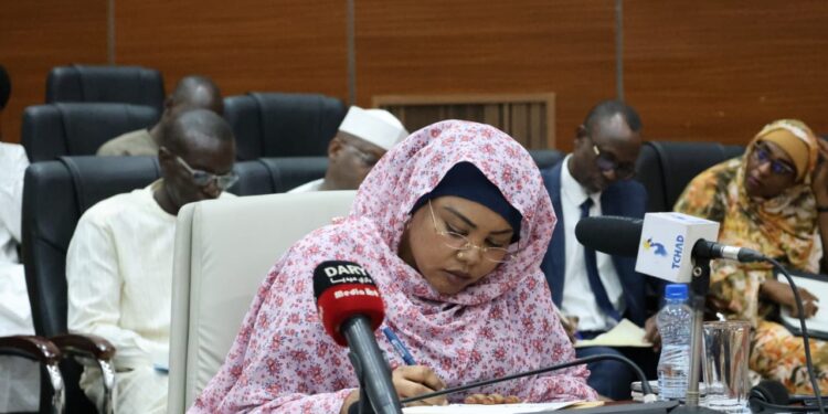 Tchad : Urgence humanitaire au Mandoul, la Ministre de l’action sociale s’explique devant les sénateurs