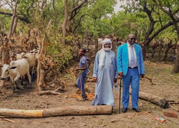 Moyen-Chari : Une mission officielle dans le canton Marabé pour encadrer la transhumance et la santé animale