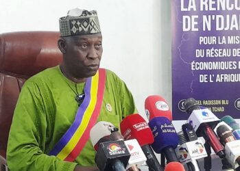 N’Djaména accueille une rencontre historique des Conseils économiques et sociaux d’Afrique centrale