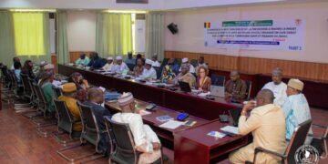 Tchad : Vers l&rsquo;intégration effective du genre dans les commissions parlementaires du Sénat