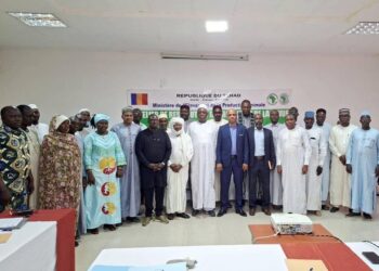 Tchad : Évaluation à mi-parcours positive pour le projet d&rsquo;appui aux filières viande et lait (PAPCV-VL)