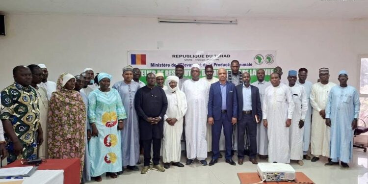 Tchad : Évaluation à mi-parcours positive pour le projet d&rsquo;appui aux filières viande et lait (PAPCV-VL)