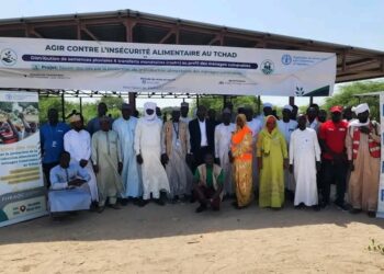 Tchad : La FAO déploie des semences et des transferts monétaires pour soutenir les ménages vulnérables du Lac