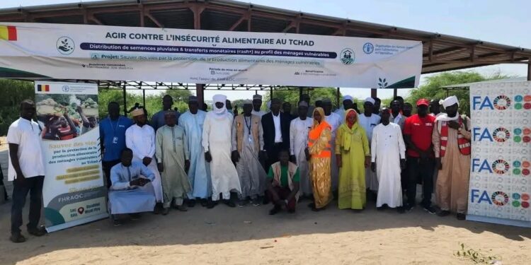 Tchad : La FAO déploie des semences et des transferts monétaires pour soutenir les ménages vulnérables du Lac