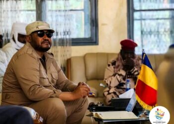 Mayo-Kebbi Ouest : Un bilan sécuritaire positif et de nouveaux défis à l&rsquo;ordre du jour