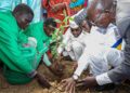 N’Djamena : L’ONAPE lance une formation en reboisement pour 50 jeunes