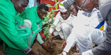 N’Djamena : L’ONAPE lance une formation en reboisement pour 50 jeunes