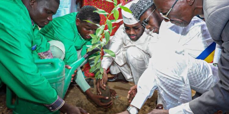 N’Djamena : L’ONAPE lance une formation en reboisement pour 50 jeunes
