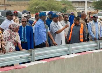 N&rsquo;Djamena : Le Premier Ministre évalue les Infrastructures de Drainage des eaux