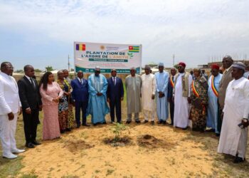 N’Djamena et Lomé scellent leur coopération parlementaire par un geste symbolique au Palais de la Démocratie