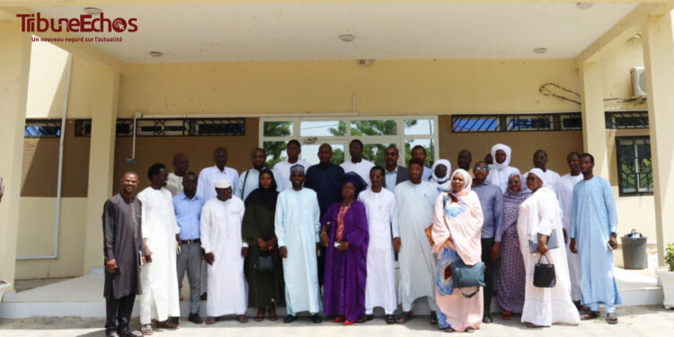 Tchad : L&rsquo;ITRAD et les agri-preneurs posent les bases d&rsquo;une collaboration pour moderniser le secteur agricole