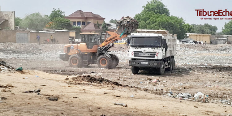 N&rsquo;Djaména : Lancement d’une opération de curage d’un bassin de rétention à Chagoua