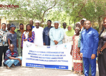 Tchad : L&rsquo;agriculture familiale au cœur des stratégies de sécurité alimentaire à N&rsquo;Djamena