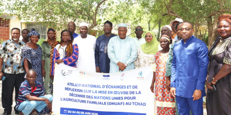 Tchad : L&rsquo;agriculture familiale au cœur des stratégies de sécurité alimentaire à N&rsquo;Djamena