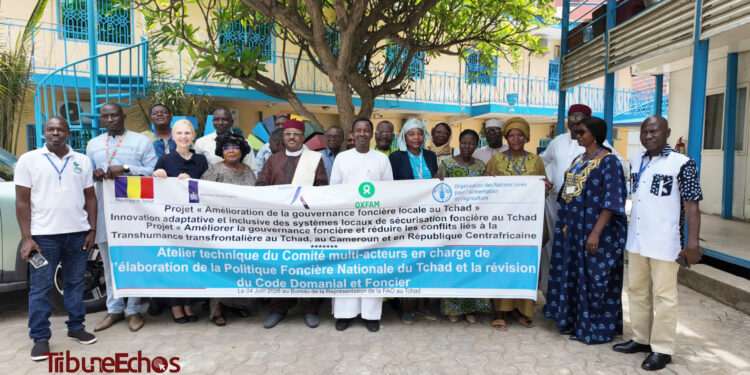 Tchad : Une refonte globale de la gouvernance foncière pour sécuriser le développement rural