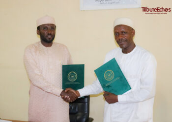 Tchad : L&rsquo;ITRAD et l&rsquo;ENSTP s&rsquo;unissent pour conjuguer recherche agronomique et travaux publics