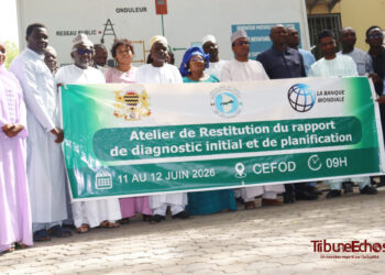 Tchad : La restauration des paysages au cœur de la stratégie de résilience climatique