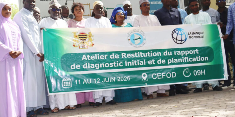 Tchad : La restauration des paysages au cœur de la stratégie de résilience climatique