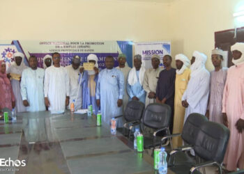 Tchad : L&rsquo;ONAPE octroie 28 850 000 FCFA au Kanem pour la campagne agricole 2026-2027