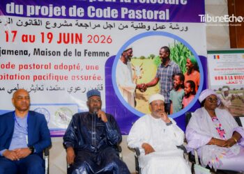 Tchad : Un nouveau code pastoral en chantier pour moderniser l’élevage et pacifier le monde rural