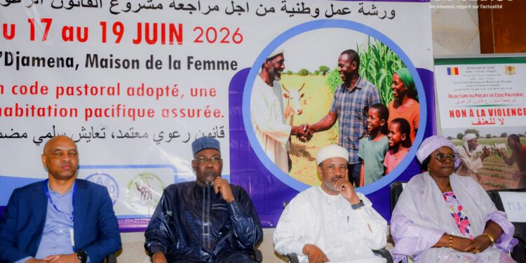 Tchad : Un nouveau code pastoral en chantier pour moderniser l’élevage et pacifier le monde rural