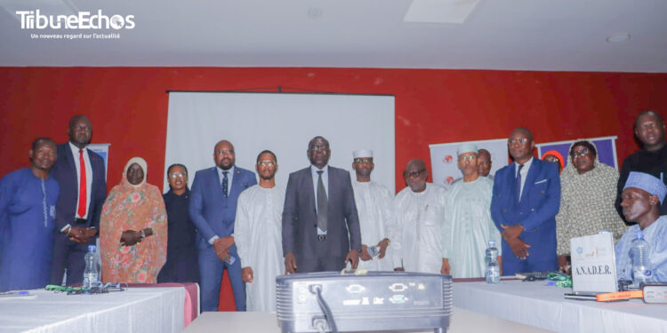 Tchad : L’ONAPE mobilise les acteurs autour d’un pilotage national sur l’entrepreneuriat vert