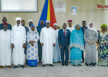 Tchad : Séance d’information sur la plateforme gouvernementale « E-Conseil » à l’Assemblée nationale