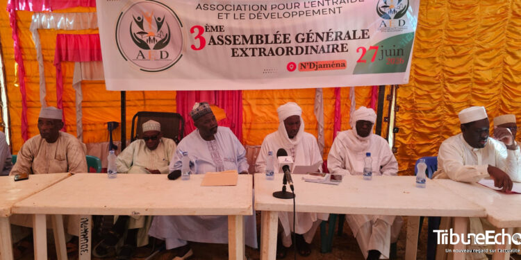 Tchad : L&rsquo;association pour l&rsquo;entraide et le développement relance sa dynamique pour l&rsquo;avenir