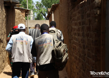 RGPH-3 à N’Djaména : immersion d&rsquo;une première semaine de collecte sur le terrain