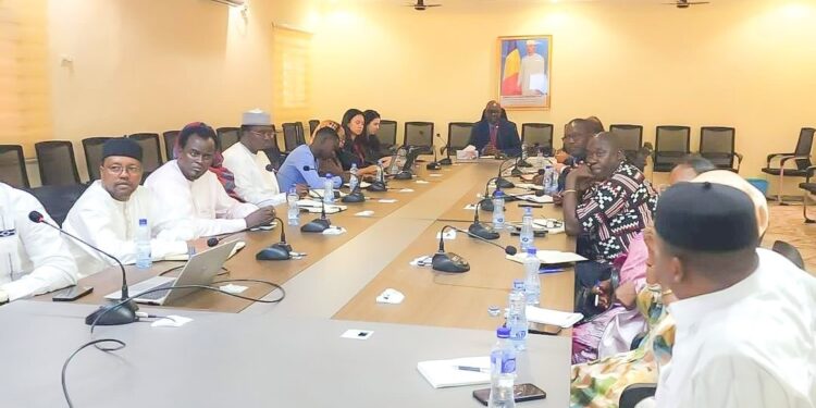 Tchad : Évaluation des chantiers environnementaux du Plan national de développement