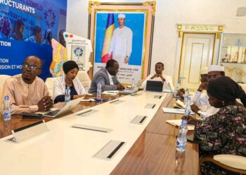 Tchad : Le PROJIACE prend un nouvel élan pour propulser 25 jeunes entrepreneurs