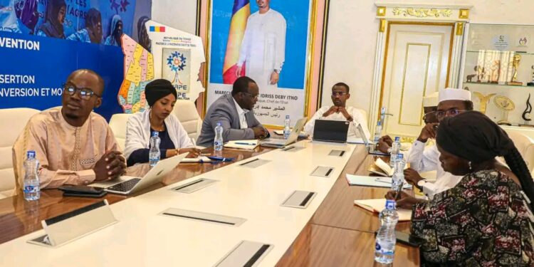 Tchad : Le PROJIACE prend un nouvel élan pour propulser 25 jeunes entrepreneurs