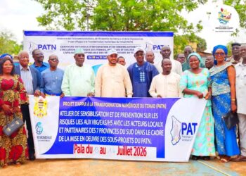 Mayo Kebbi Ouest : Pala se mobilise contre les VBG dans l’ombre du numérique