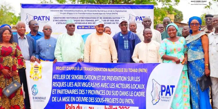 Mayo Kebbi Ouest : Pala se mobilise contre les VBG dans l’ombre du numérique