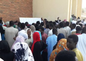 Tchad : L’éclatant sursaut des séries scientifiques au Baccalauréat, une boussole pour l’avenir