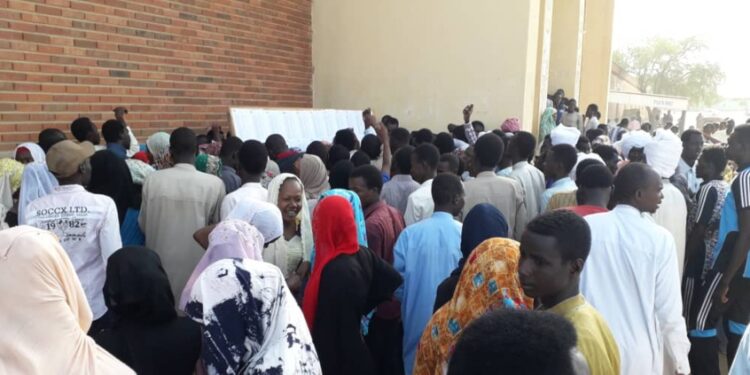 Tchad : L’éclatant sursaut des séries scientifiques au Baccalauréat, une boussole pour l’avenir