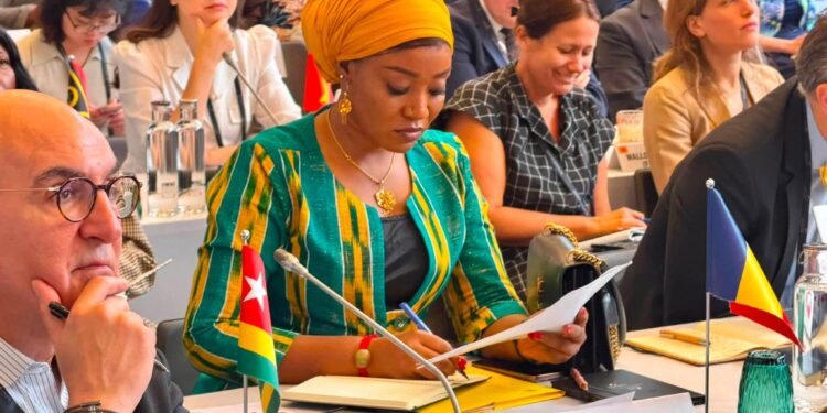 Diplomatie : Le futur de la Francophonie se dessine à Paris avec la participation de N&rsquo;Djaména