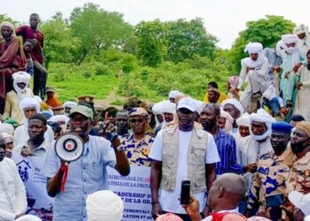 Moyen-Chari : Danamadji mobilise son marché à bétail pour le succès du RGPH-3