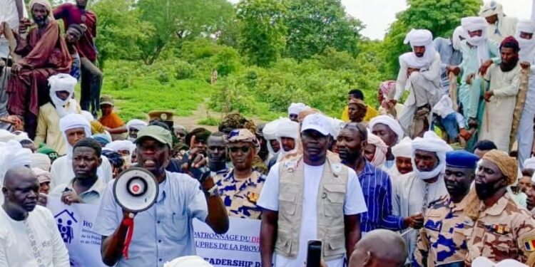 Moyen-Chari : Danamadji mobilise son marché à bétail pour le succès du RGPH-3