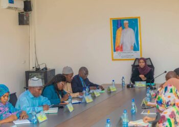 Tchad : Un comité de suivi installé pour piloter les projets de transports du PND