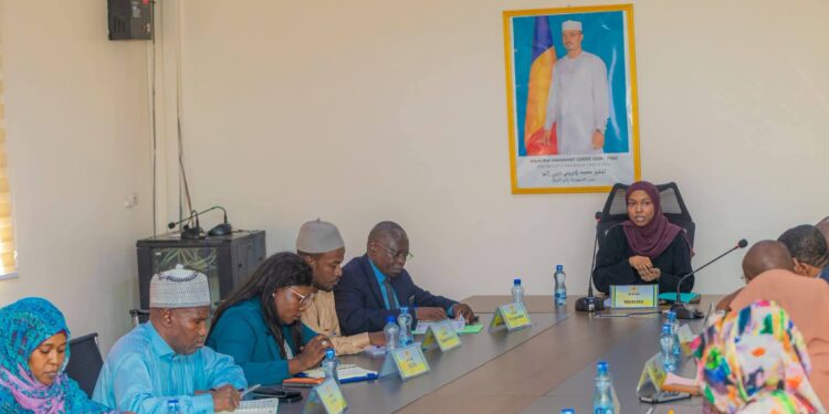 Tchad : Un comité de suivi installé pour piloter les projets de transports du PND
