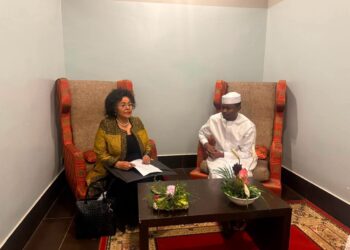 Tchad : Renforcement du partenariat avec l&rsquo;AUDA-NEPAD pour l&rsquo;environnement et le Lac Tchad