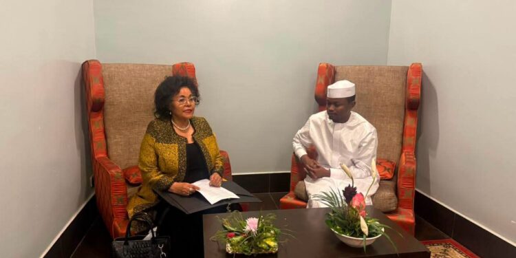 Tchad : Renforcement du partenariat avec l&rsquo;AUDA-NEPAD pour l&rsquo;environnement et le Lac Tchad