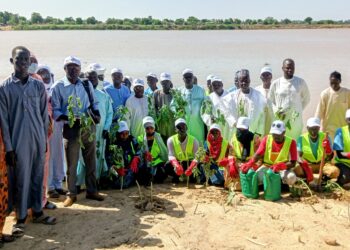 N&rsquo;Djaména : Une ceinture verte de 3 km pour protéger les riverains du Chari contre les inondations